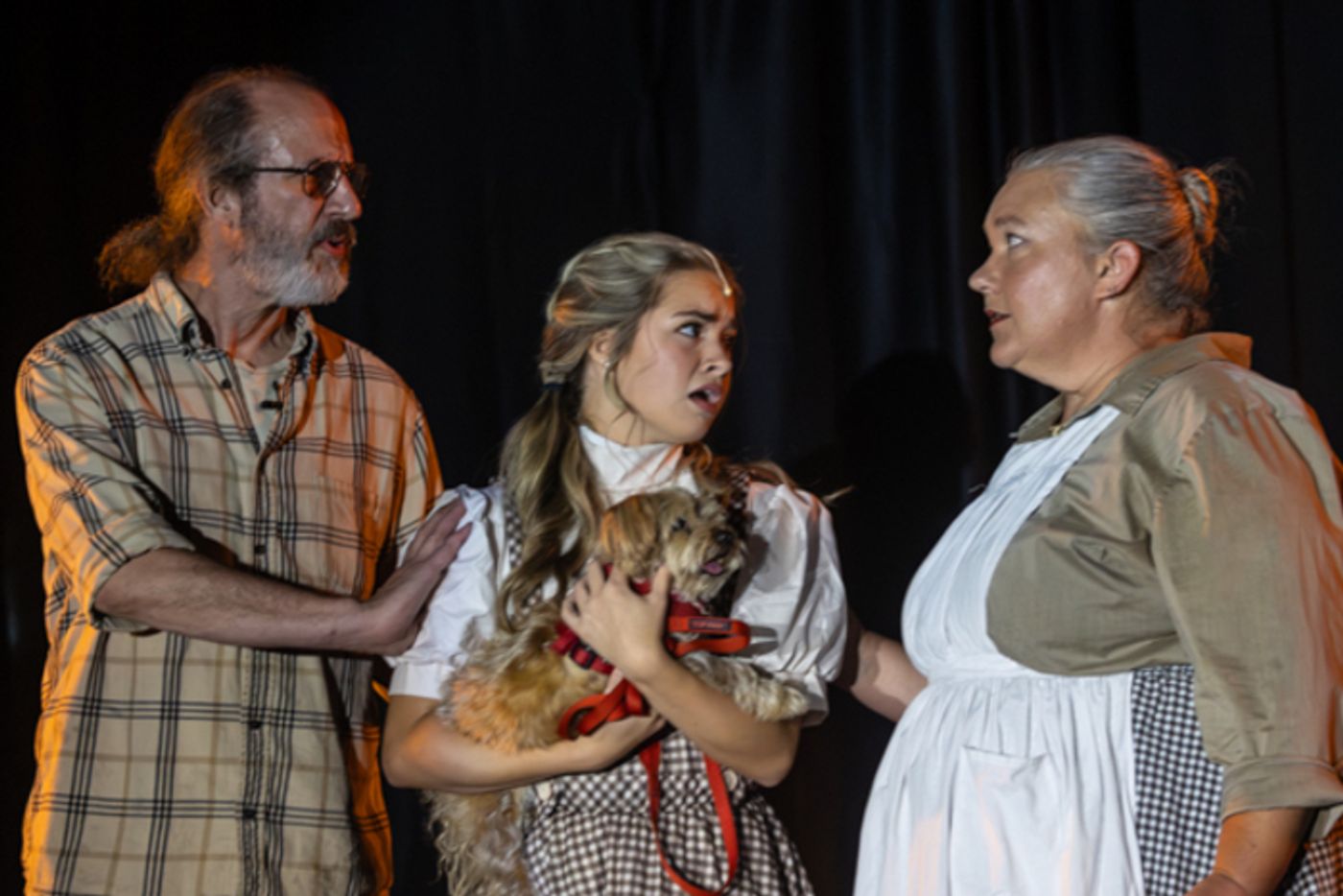 Photos: First look at Rise Up Arts Alliance’s THE WIZARD OF OZ  Image