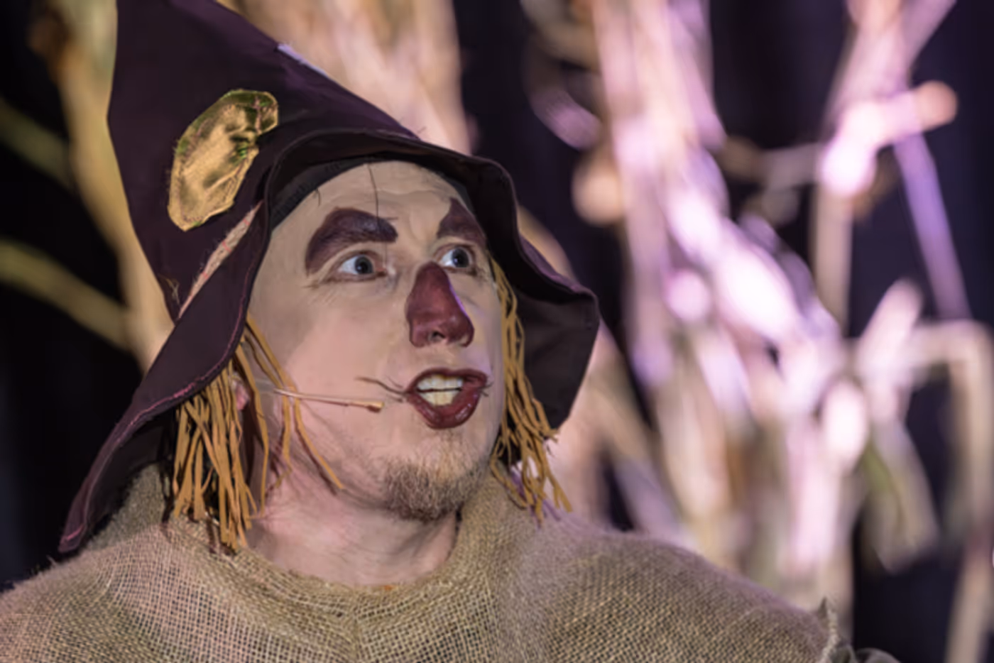 Photos: First look at Rise Up Arts Alliance’s THE WIZARD OF OZ  Image