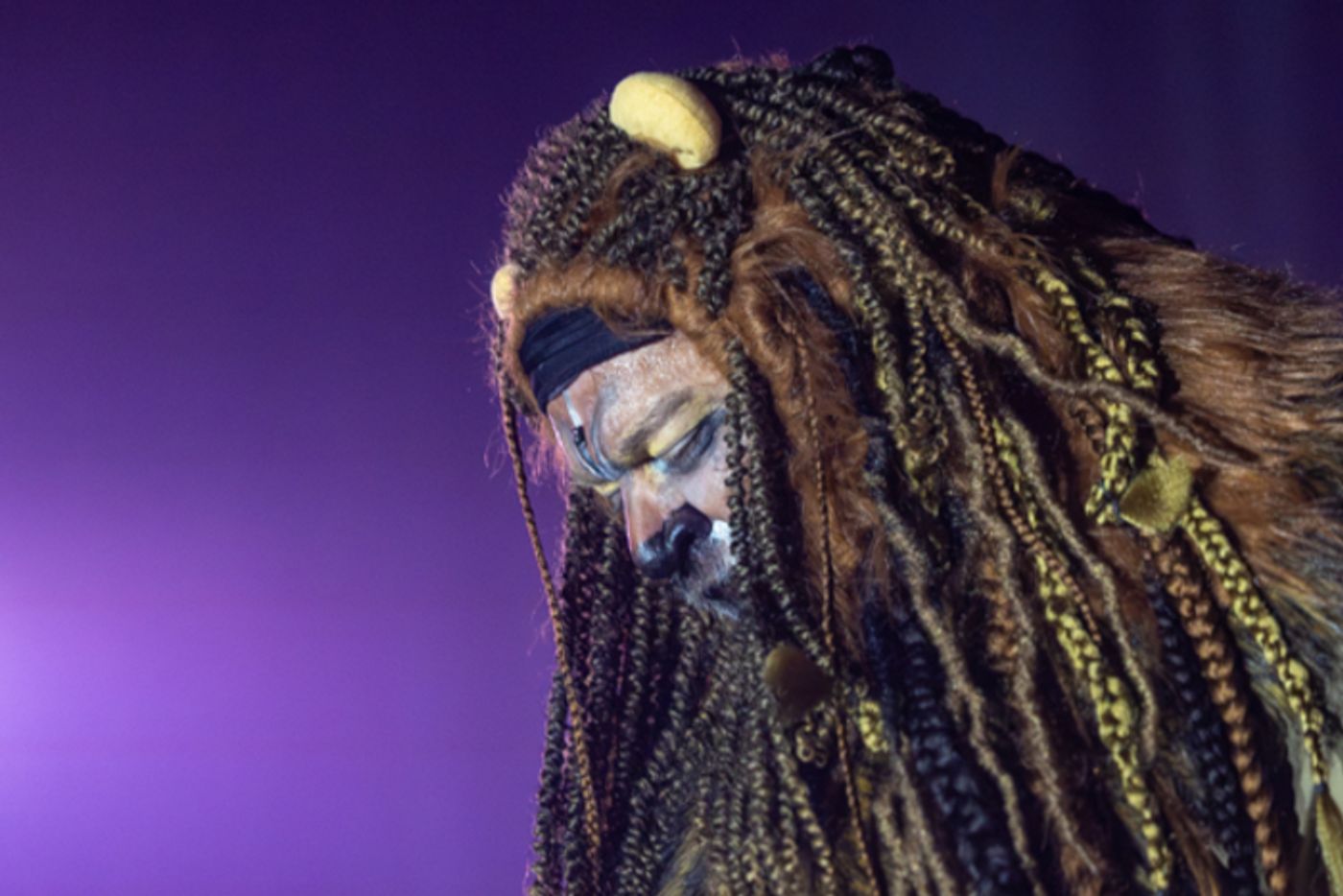 Photos: First look at Rise Up Arts Alliance’s THE WIZARD OF OZ  Image