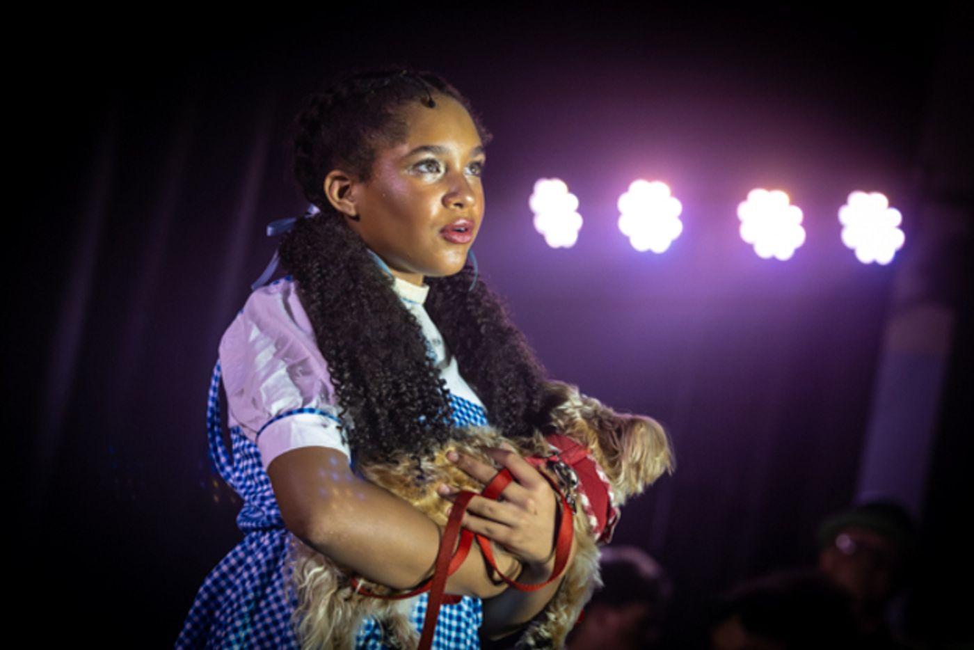 Photos: First look at Rise Up Arts Alliance’s THE WIZARD OF OZ  Image