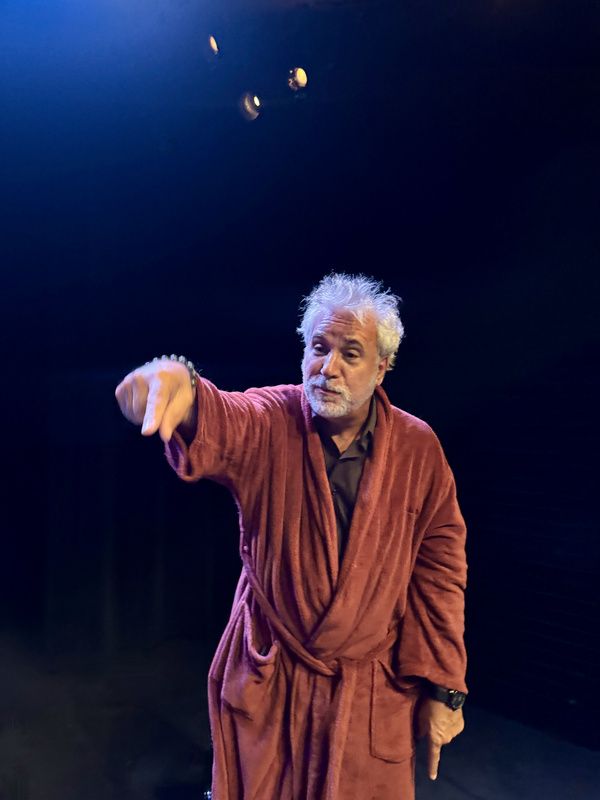 Photos: Joanna Pickering’s Tragicomedy MISTY AND ROVER at Chain Theatre  Image