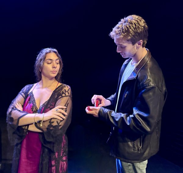 Photos: Joanna Pickering’s Tragicomedy MISTY AND ROVER at Chain Theatre  Image