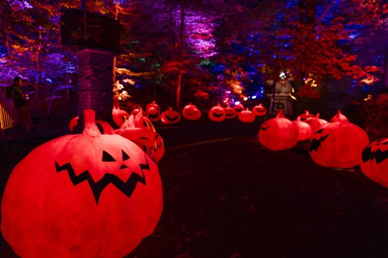 Video/Photos: THE NIGHTMARE BEFORE CHRISTMAS Light Trail Opens at the New York Botanical Garden  Image