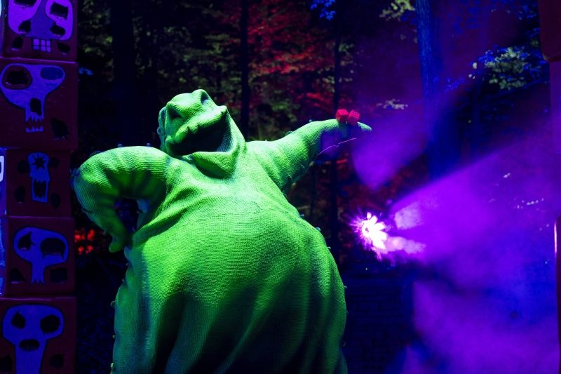 Video/Photos: THE NIGHTMARE BEFORE CHRISTMAS Light Trail Opens at the New York Botanical Garden  Image