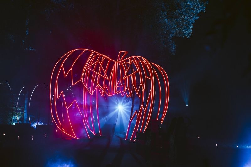 Video/Photos: THE NIGHTMARE BEFORE CHRISTMAS Light Trail Opens at the New York Botanical Garden  Image