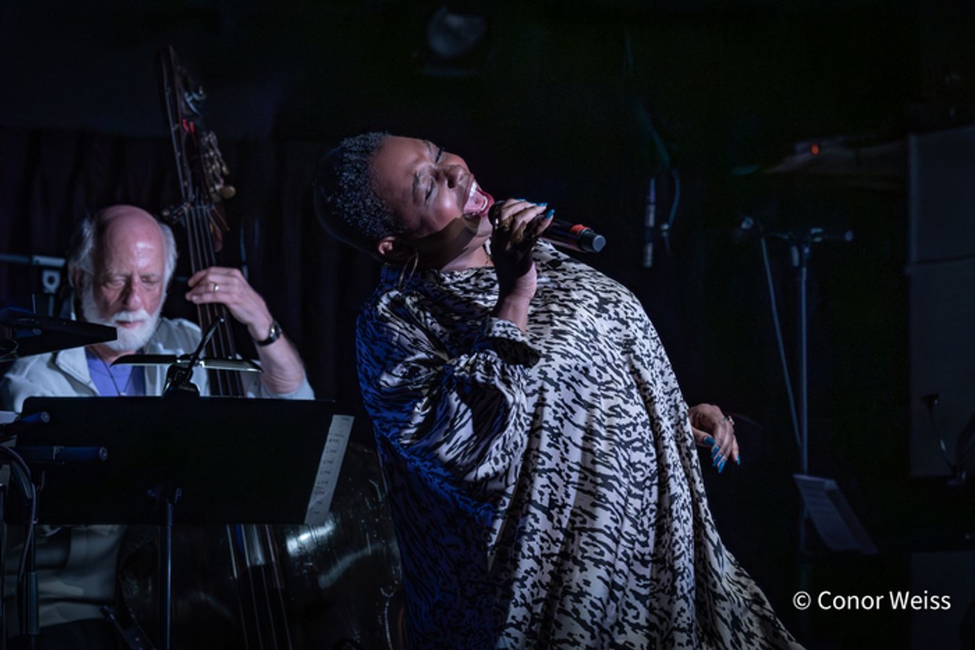 Photos: The LineUp with Susie Mosher - September 23, 2025 at the Green Room 42  Image