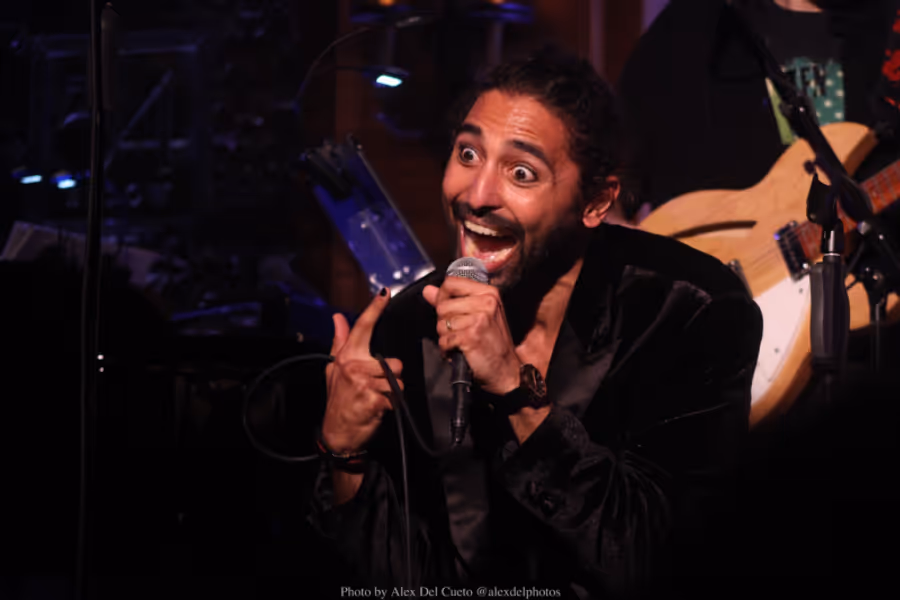 Review: AMERICAN IDIOT: A 21ST ANNIVERSARY CELEBRATION Rocks 54 Below Image