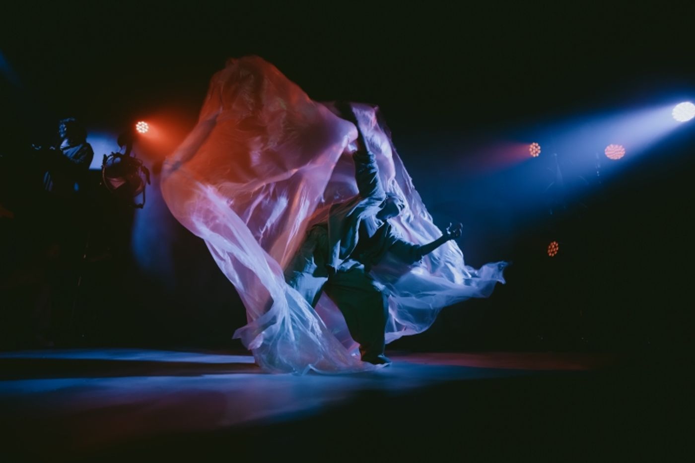 Review: UPROOTED, New Diorama  Image