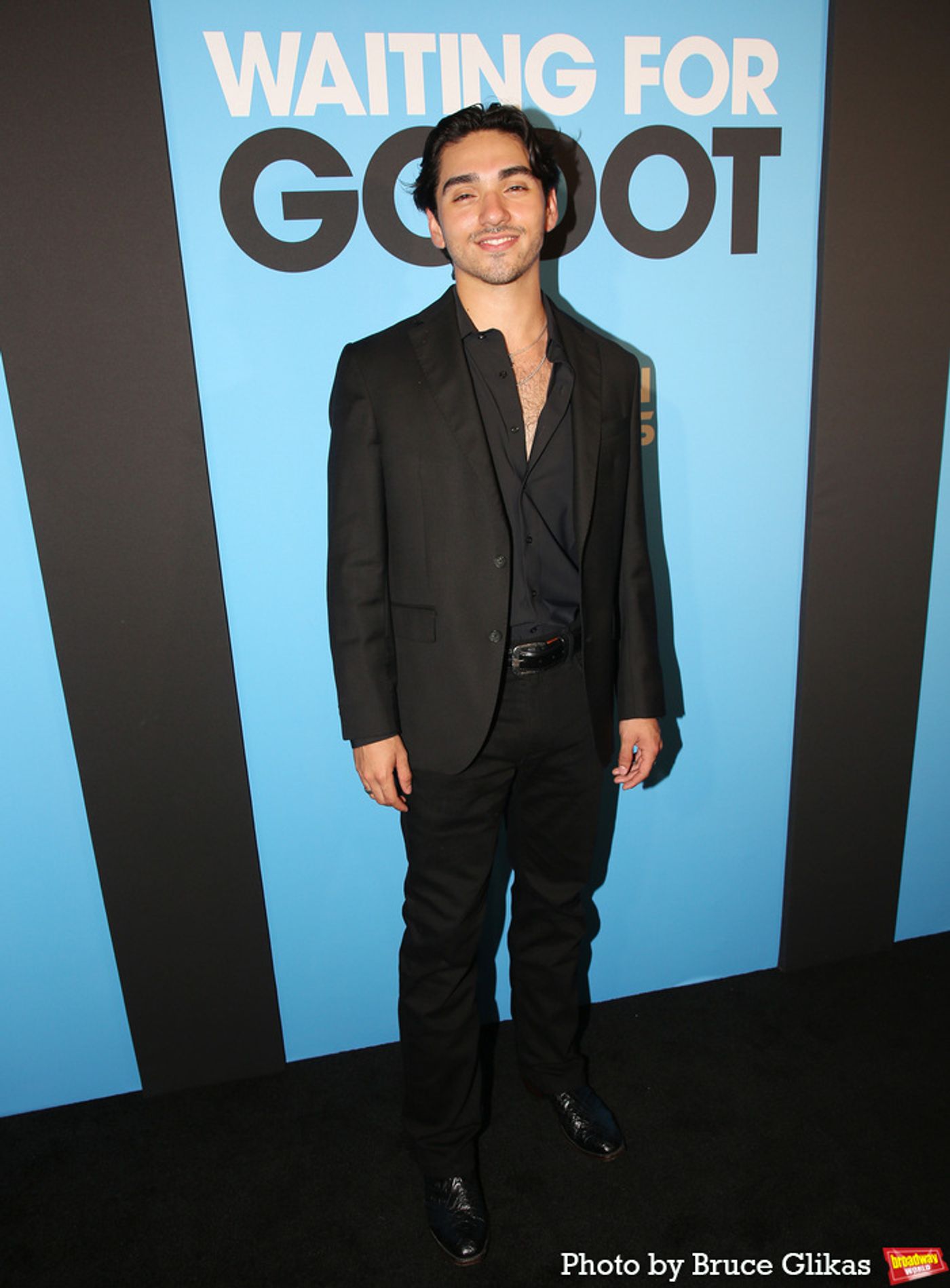 Photos: On the Opening Night Red Carpet For WAITING FOR GODOT  Image