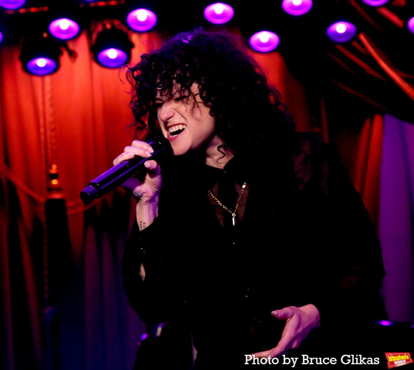 Photos: ROMY & MICHELE: THE MUSICAL Meets the Press  Image