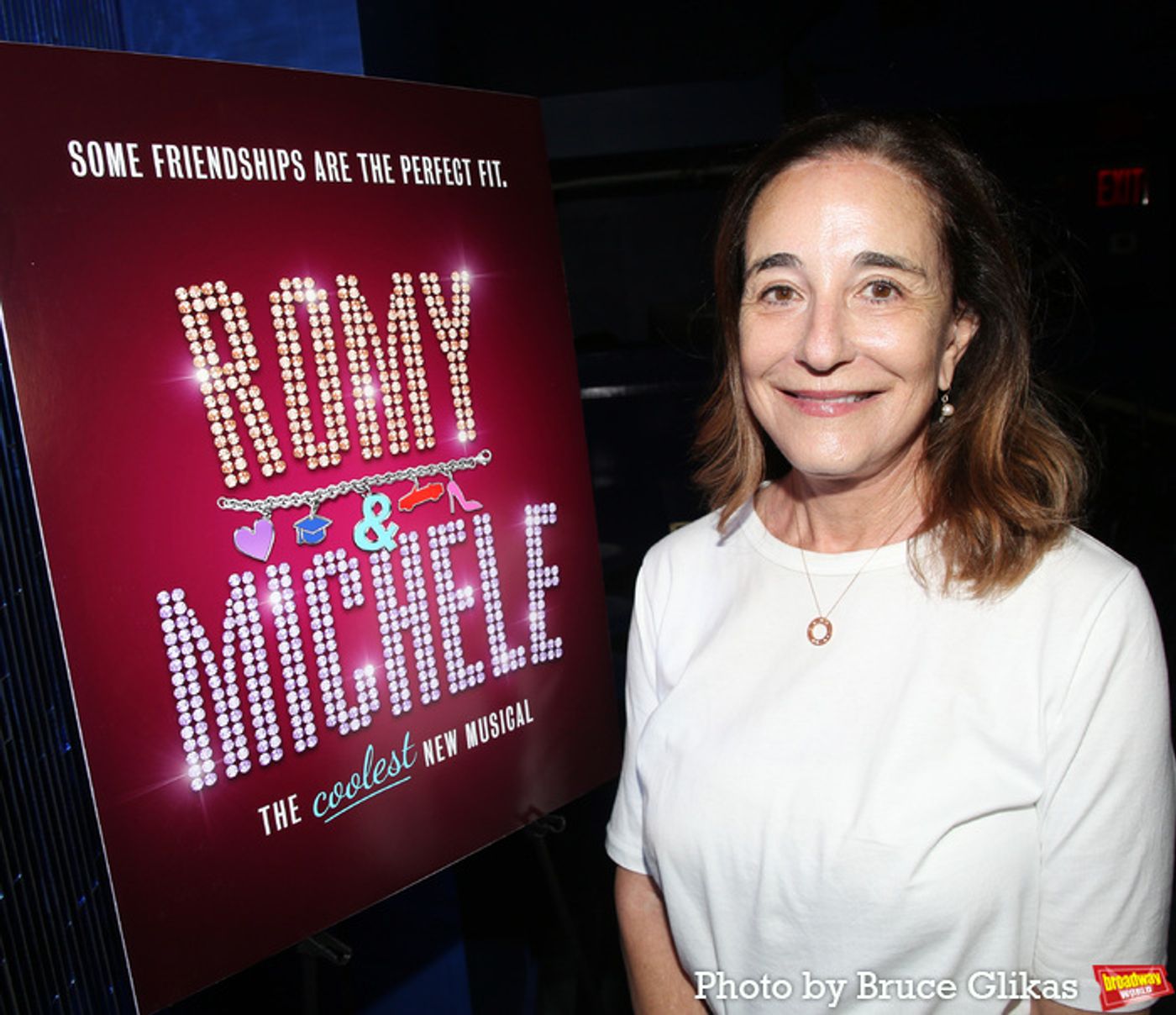 Photos: ROMY & MICHELE: THE MUSICAL Meets the Press  Image