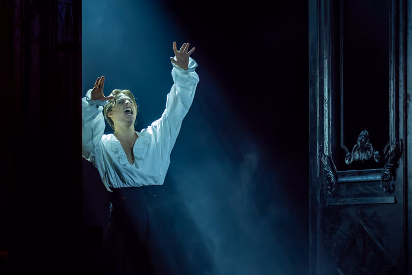 Review: MARIA THERESIA MEDIA EVENT at Ronacher  Image