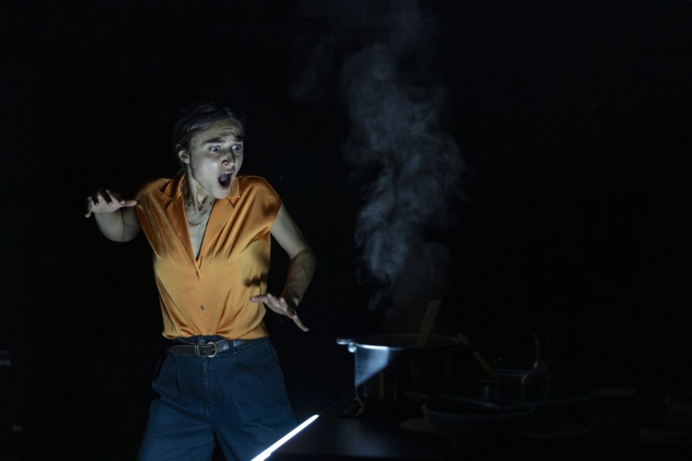Review: MY ENGLISH PERSIAN KITCHEN, Soho Theatre  Image