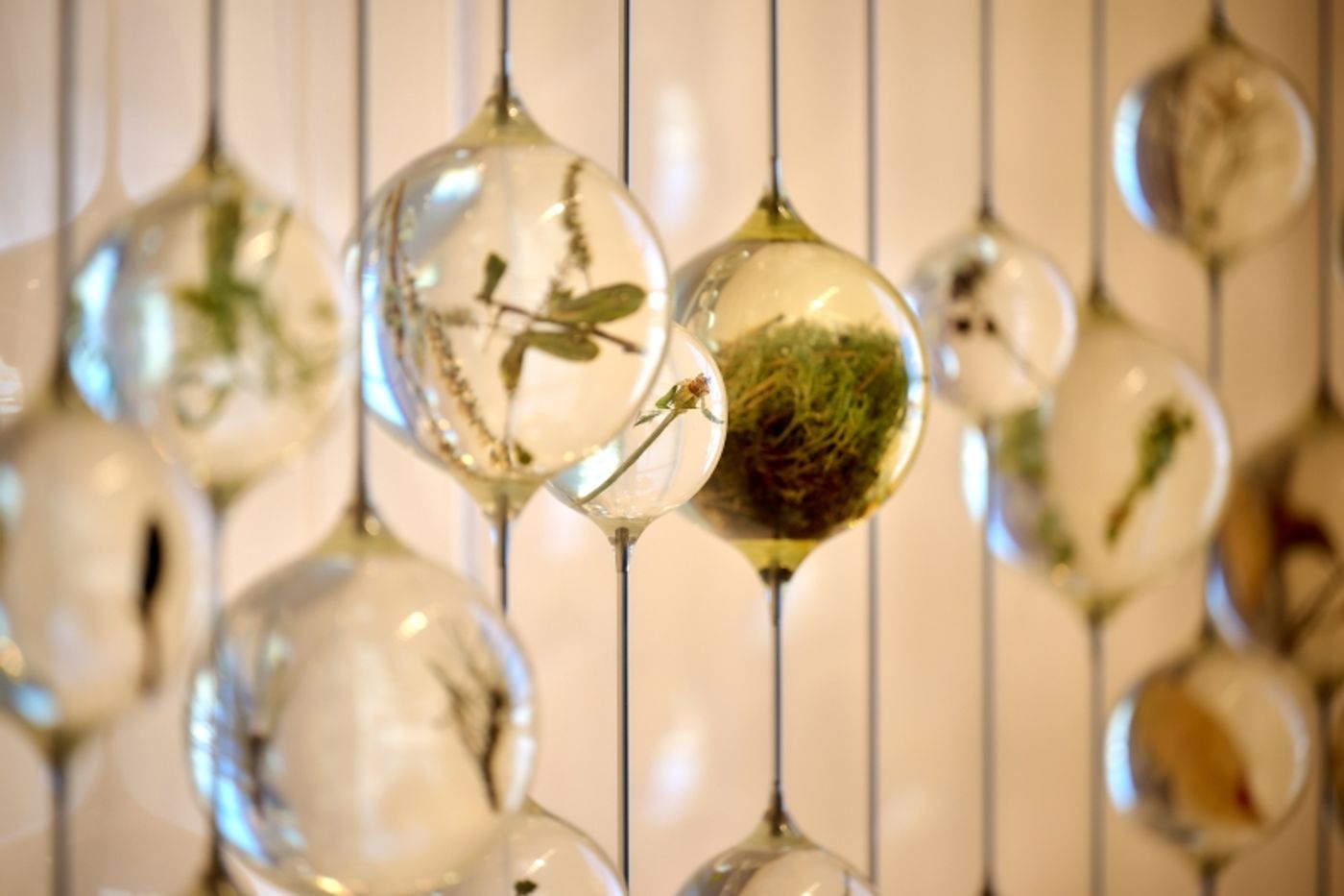 Review: EXPO 2025 OSAKA – POLAND AND KOREA PAVILIONS IN FOCUS  Image