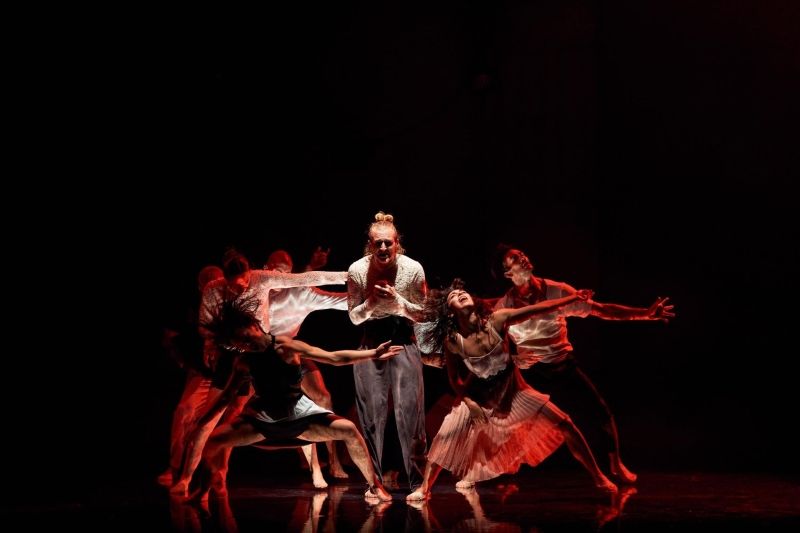 Review: COMPAGNIE DYPTIK: LE GRAND BAL at The Joyce Theatre Review: COMPAGNIE DYPTIK: LE GRAND BAL at The Joyce Theatre Image