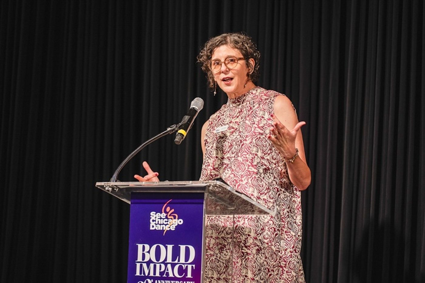 Photos: See Chicago Dance Celebrates 20 Years With Bold Impact Anniversary Gala  Image