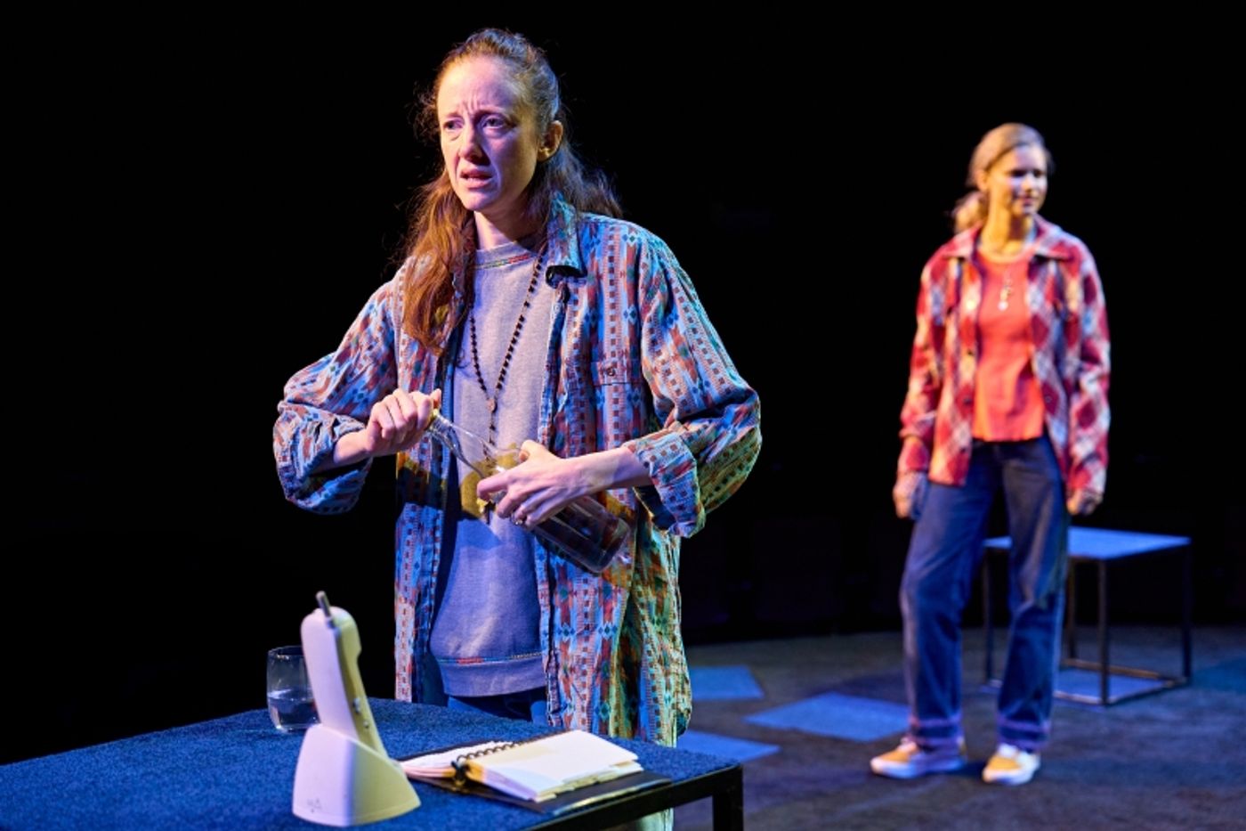 Review: MARY PAGE MARLOWE, Starring Susan Sarandon and Andrea Riseborough  Image