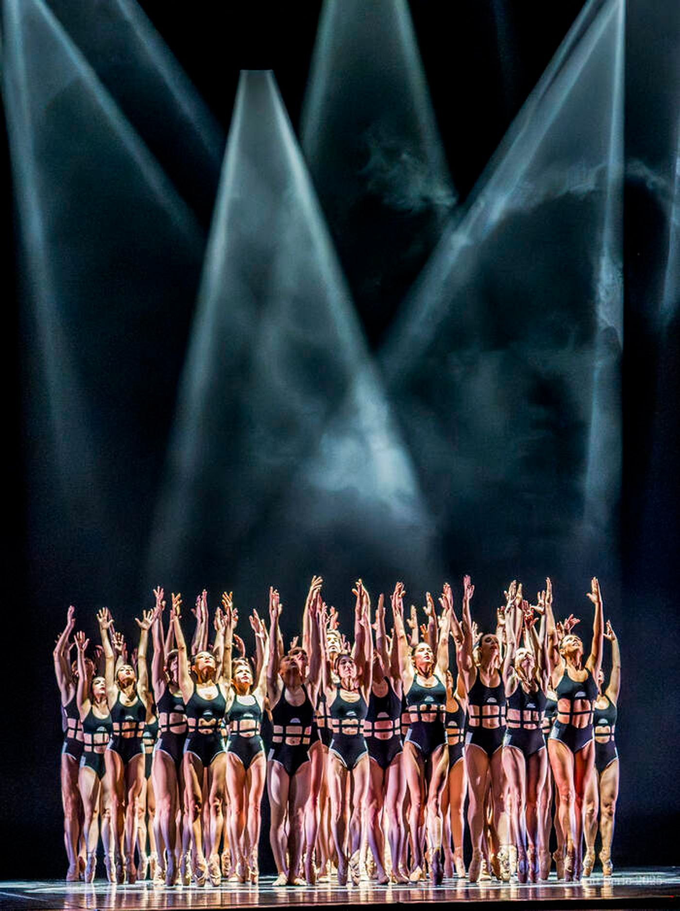 Review: CARMEN AND BOLERO at Academy Of Music  Image