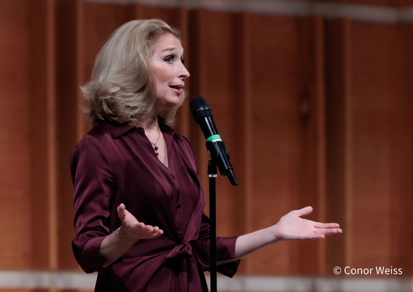 Photos: American Songbook Association's ON THE WHEELS OF A DREAM Gala at Kaufman Music Center Photos: American Songbook Association's ON THE WHEELS OF A DREAM Gala at Kaufman Music Center Image