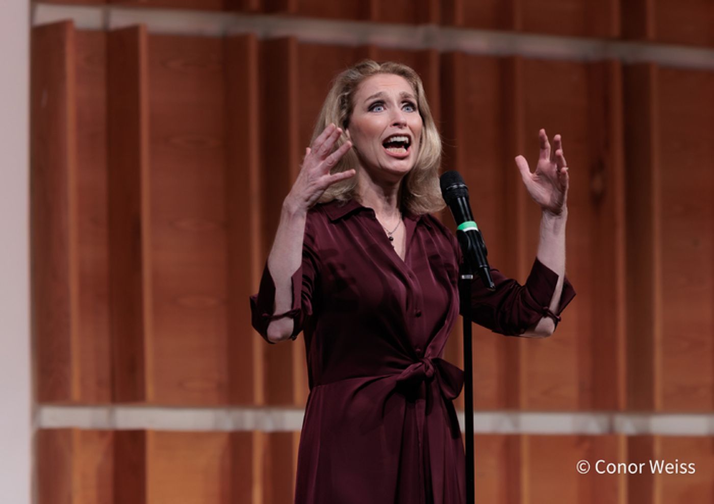 Photos: American Songbook Association's ON THE WHEELS OF A DREAM Gala at Kaufman Music Center Photos: American Songbook Association's ON THE WHEELS OF A DREAM Gala at Kaufman Music Center Image