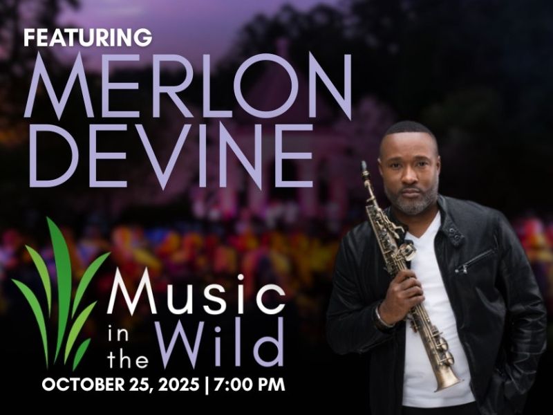 Review: DISNEY'S HIGH SCHOOL MUSICAL at Wildwood Park For The Arts in Little Rock Review: DISNEY'S HIGH SCHOOL MUSICAL at Wildwood Park For The Arts in Little Rock Image