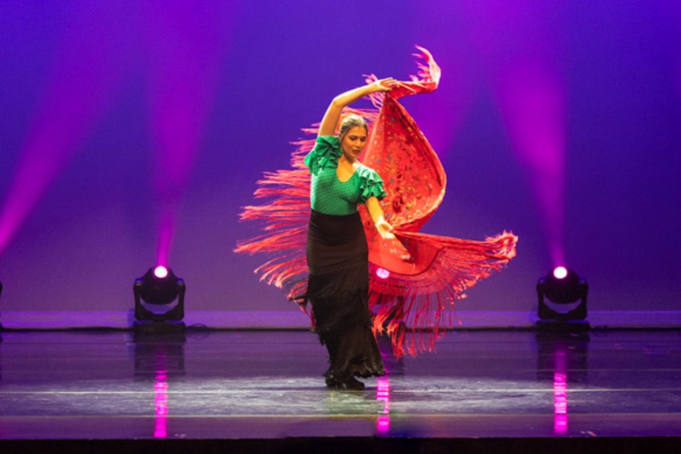 Photos: Inside New Vision Dance Company’s FIESTA TROPICALE - A CELEBRATION OF LATIN MUSIC  Image