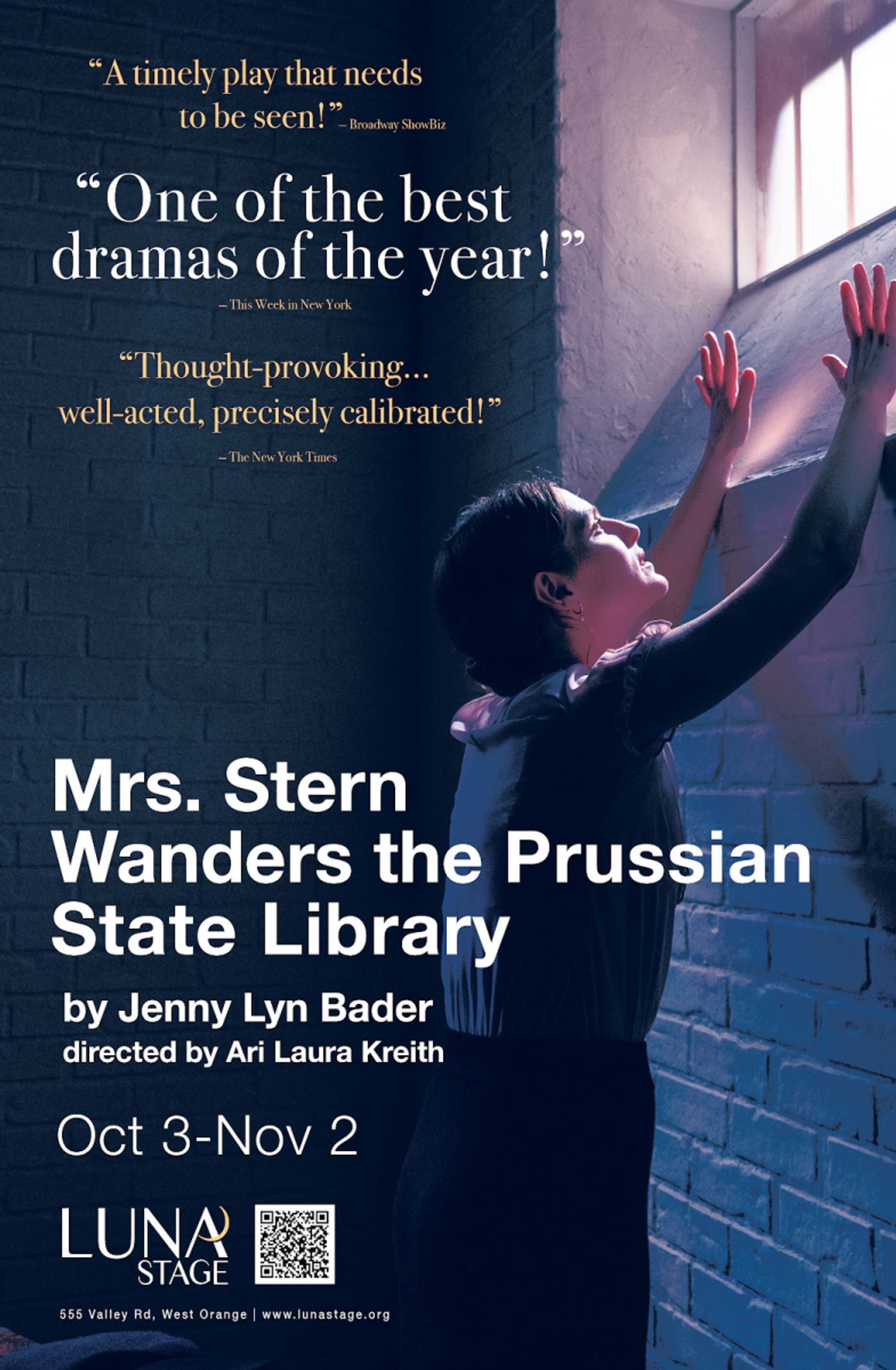 Interview: Jenny Lyn Bader and MRS. STERN WANDERS THE PRUSSIAN STATE LIBRARY at Luna Stage  Image