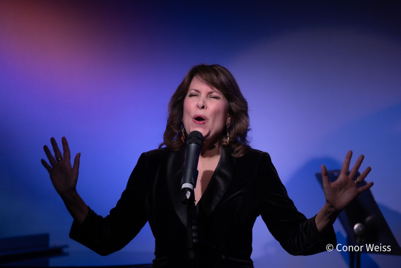 Photos: See Highlights from Meri Ziev's FROM 8 TRACKS TO LIVESTREAMS at Don't Tell Mama  Image