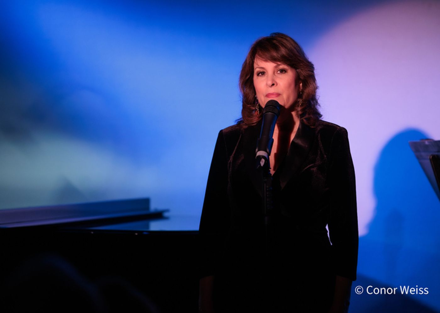 Photos: See Highlights from Meri Ziev's FROM 8 TRACKS TO LIVESTREAMS at Don't Tell Mama  Image