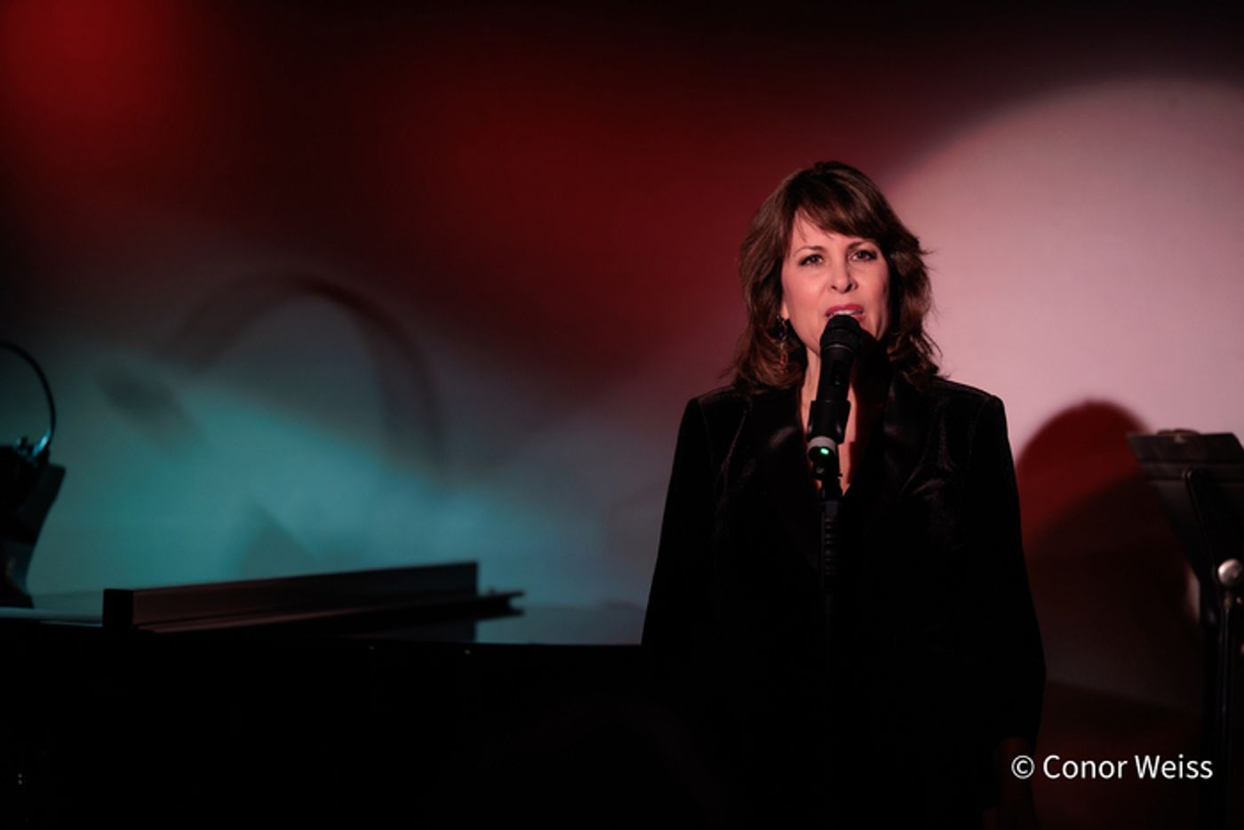 Photos: See Highlights from Meri Ziev's FROM 8 TRACKS TO LIVESTREAMS at Don't Tell Mama  Image