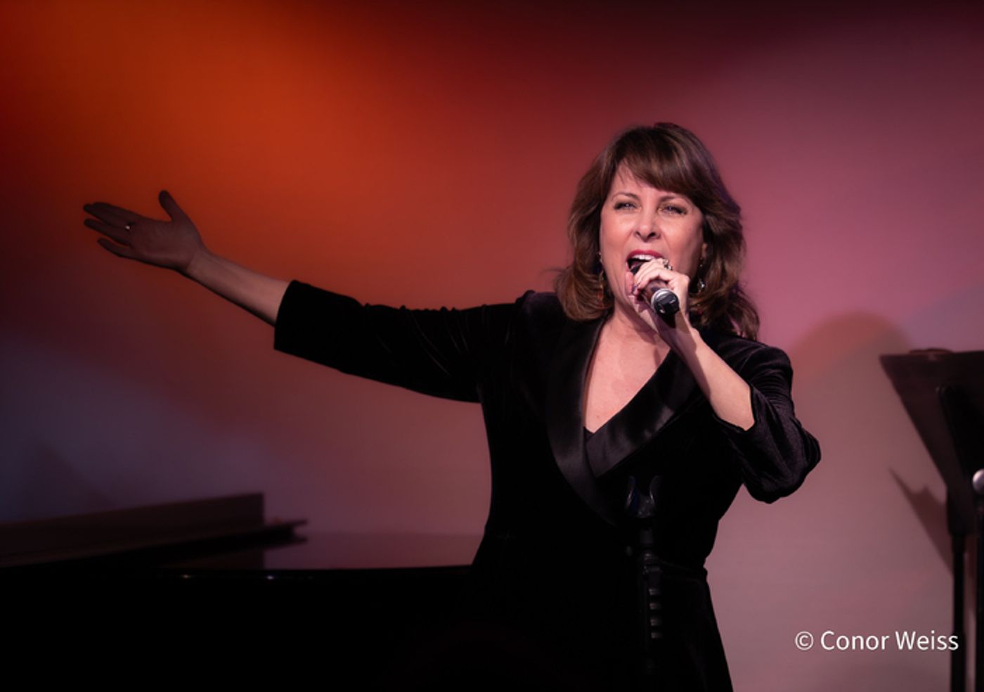 Photos: See Highlights from Meri Ziev's FROM 8 TRACKS TO LIVESTREAMS at Don't Tell Mama  Image