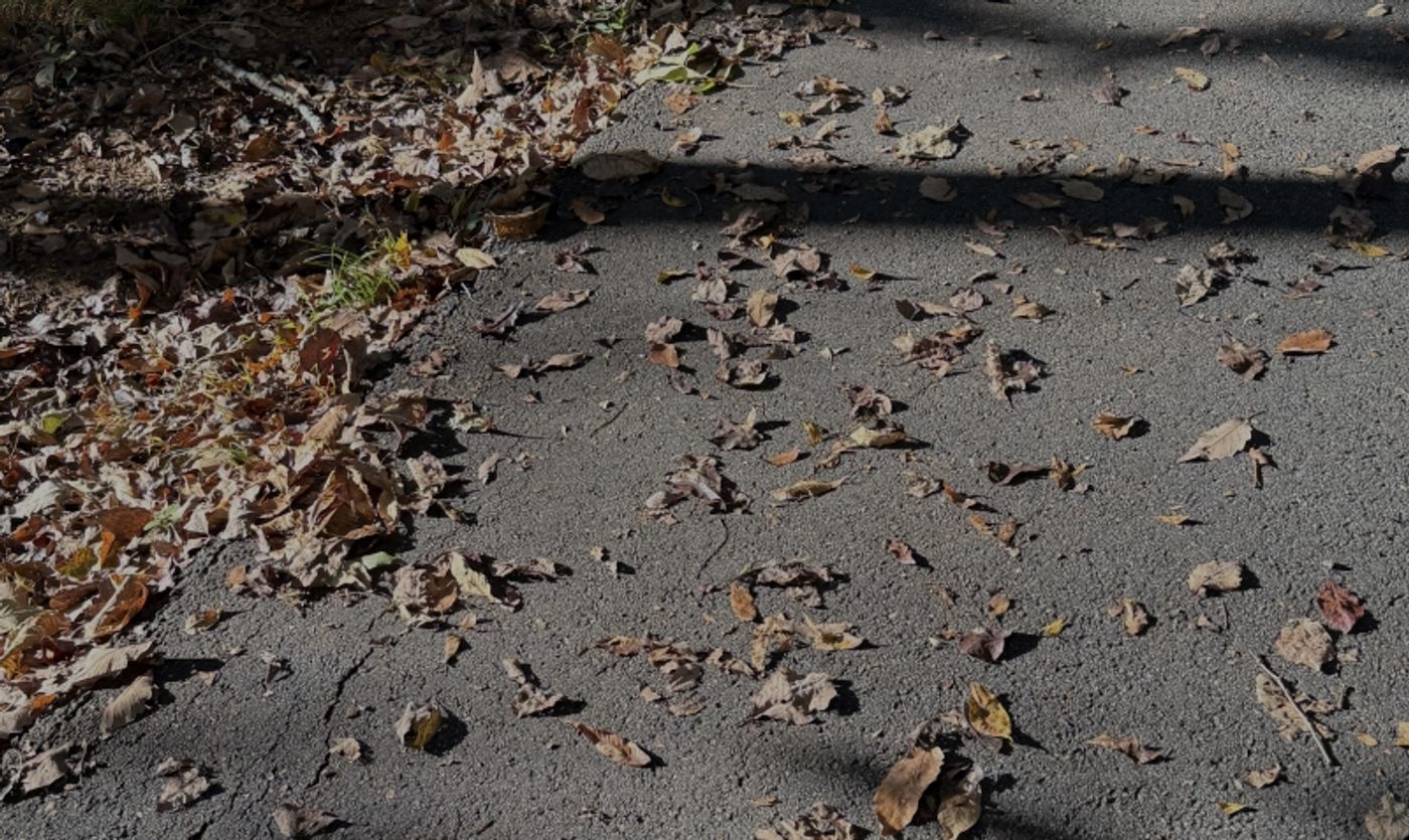 Student Blog: The Ghost of What Almost  Image