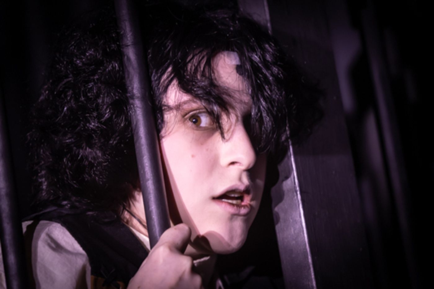 Photos: First look at Rise Up Art Alliance Community Theatre’s DRACULA Photos: First look at Rise Up Art Alliance Community Theatre’s DRACULA Image