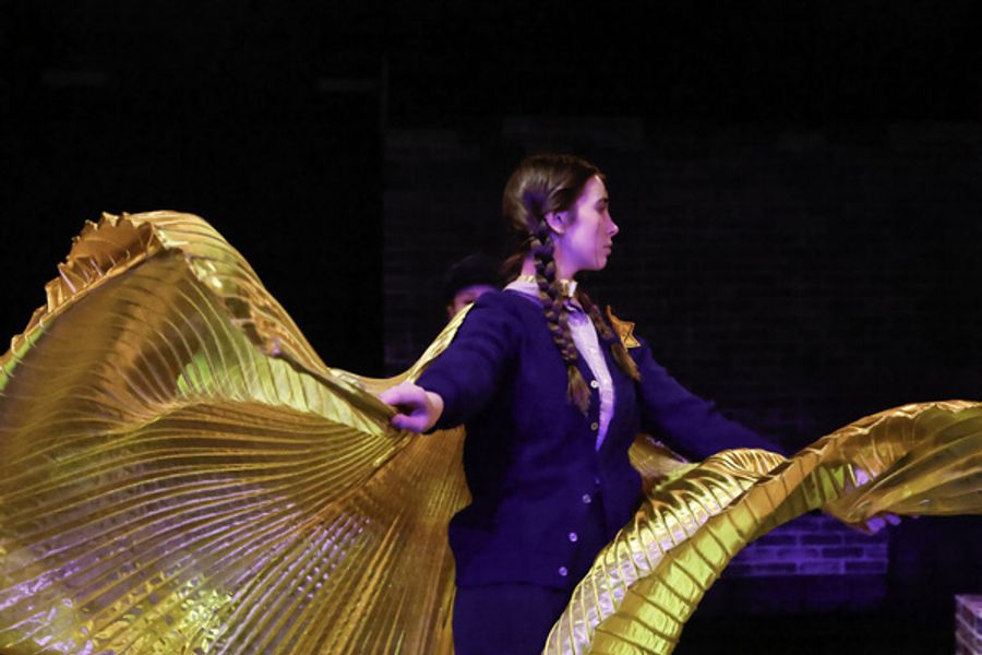 Photos: First Look At Sarasota Jewish Theatre's I NEVER SAW ANOTHER BUTTERFLY  Image