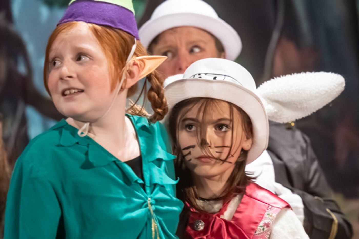 Photos: First look at King Avenue Players’ SHREK THE MUSICAL  Image