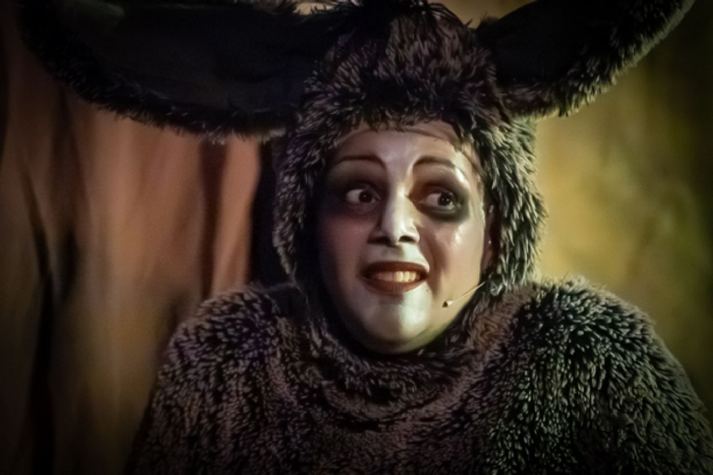 Photos: First look at King Avenue Players’ SHREK THE MUSICAL  Image