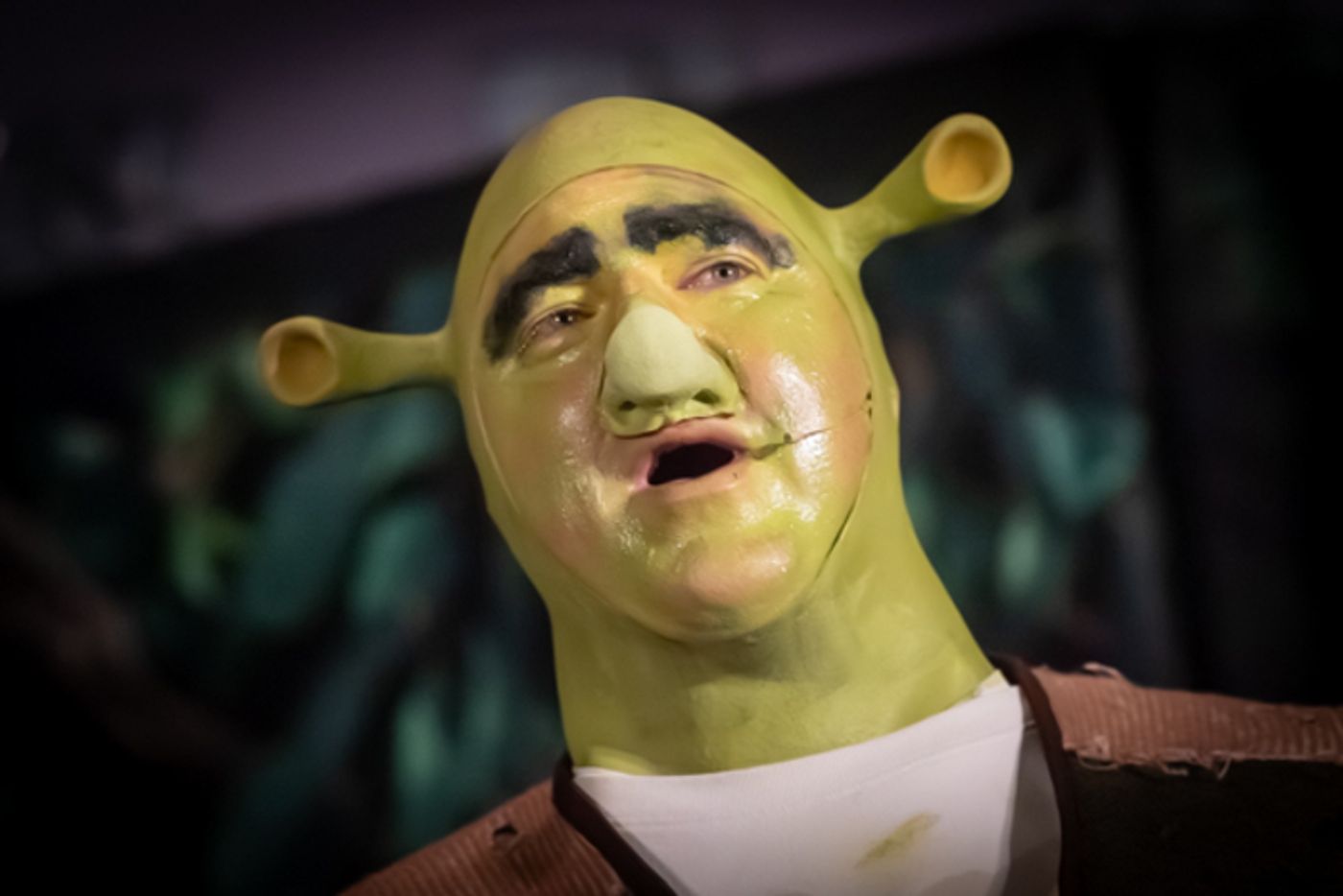 Photos: First look at King Avenue Players’ SHREK THE MUSICAL  Image