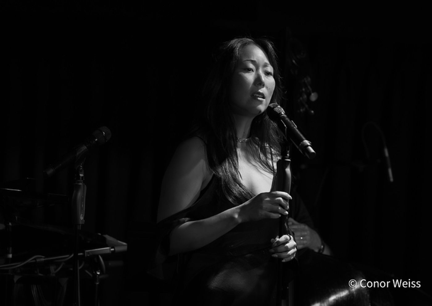 Photos: The LineUp with Susie Mosher - October 21, 2025 at the Green Room 42 Photos: The LineUp with Susie Mosher - October 21, 2025 at the Green Room 42 Image