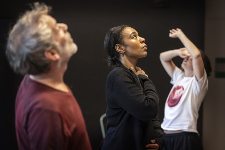 Guest Blog: Writer and Actor Nancy Farino On The Challenges of For New Writers and Her Debut Play, FATHERLAND Image