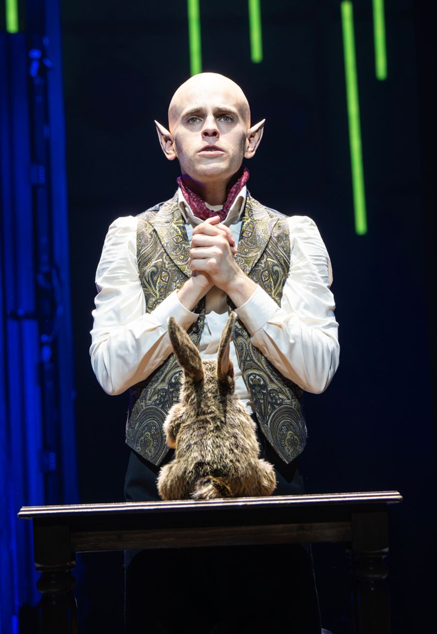 Photos: First Look at Taylor Trench & More in BAT BOY  Image