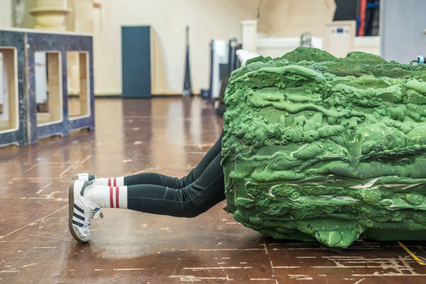 Photos: Roald Dahl’s THE BFG in Rehearsals  Image