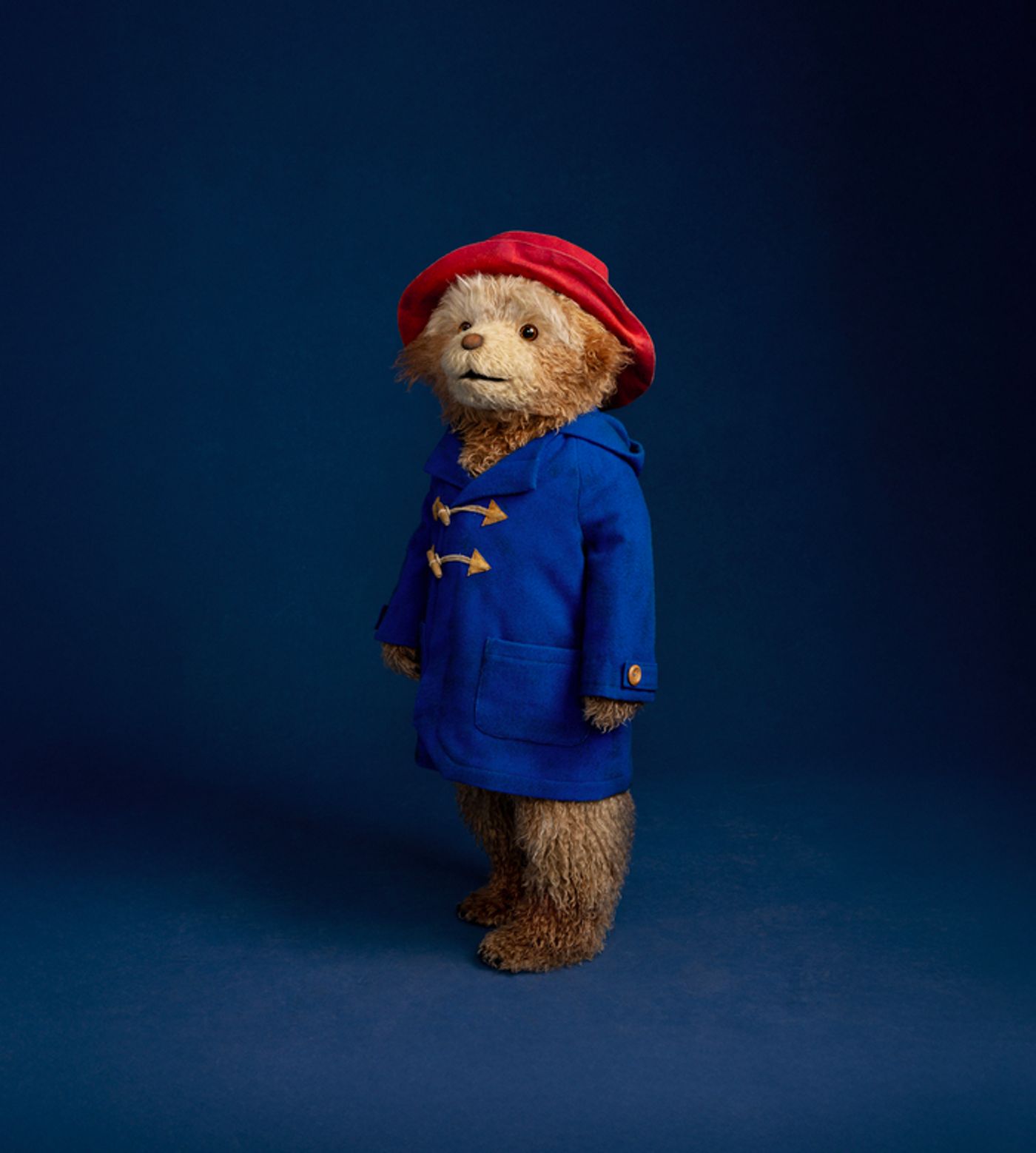 Photos: PADDINGTON THE MUSICAL Reveals First Look at Bear, Extends West End Run  Image