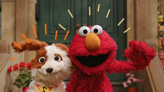 Video/Photos: First Look at Reimagined SESAME STREET at Netflix Video/Photos: First Look at Reimagined SESAME STREET at Netflix Image