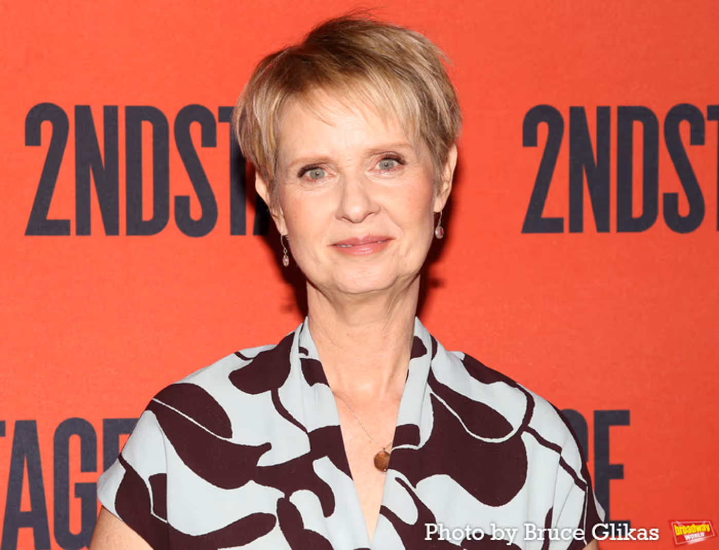 Photos: Cynthia Nixon, June Squibb and MARJORIE PRIME Cast Meet the Press  Image