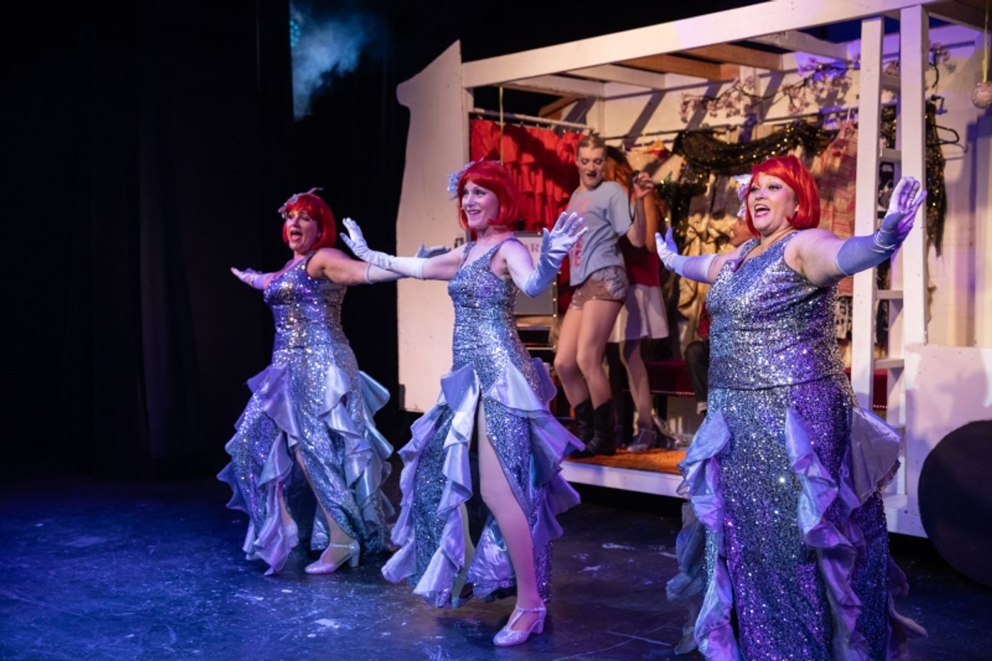 Review: PRISCILLA QUEEN OF THE DESERT at Palm Canyon Theatre  Image