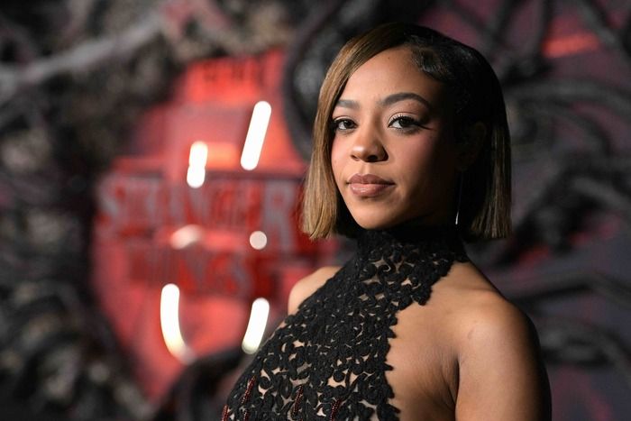 Photos: Sadie Sink, Gaten Matarazzo, & More at STRANGER THINGS 5 World Premiere  Image