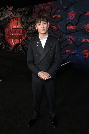 HOLLYWOOD, CALIFORNIA - NOVEMBER 06: Louis McCartney attends Netflix's "Stranger Thin Photo