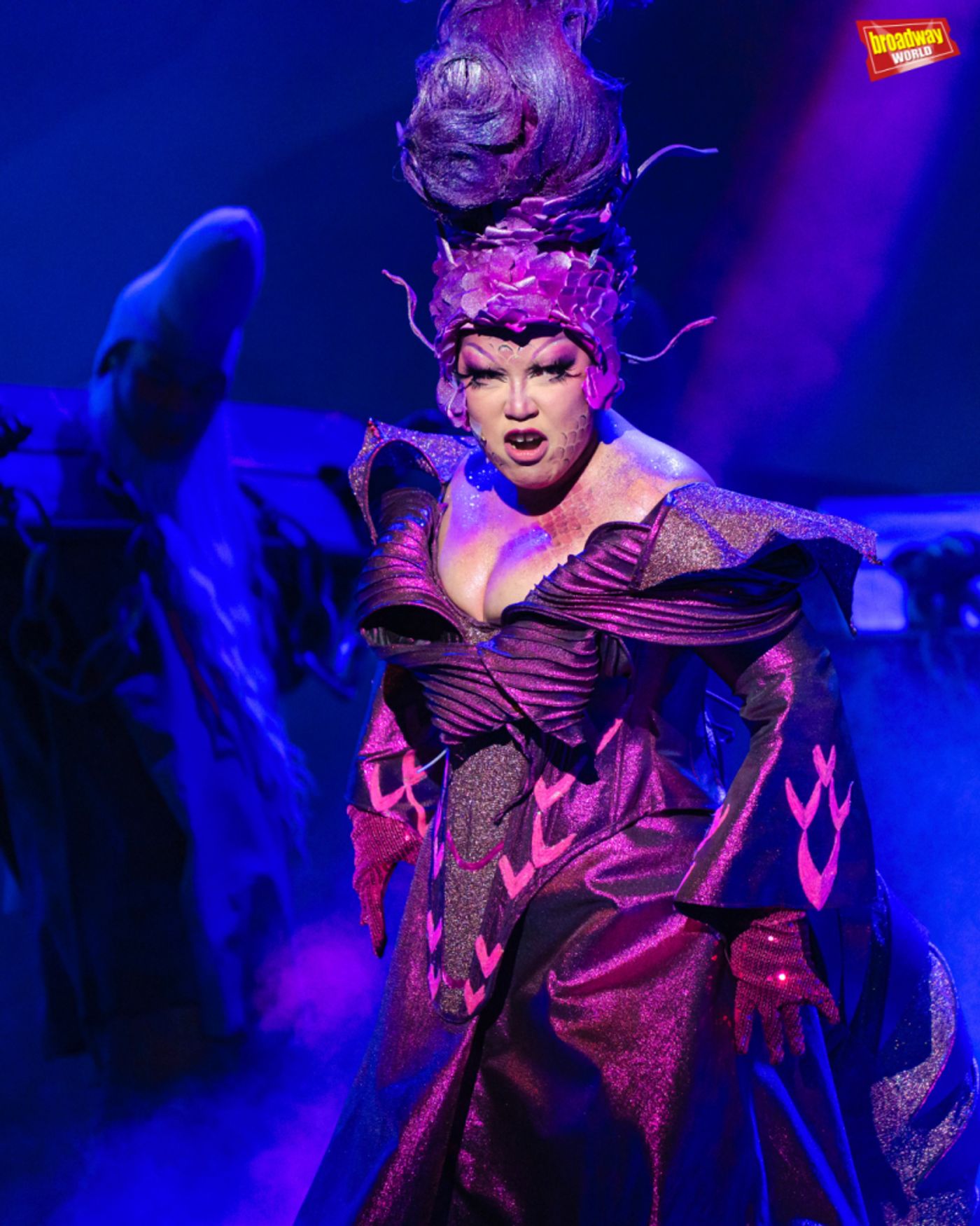 Photos: First Look at SHREK at the Newport Performing Arts Theatre  Image