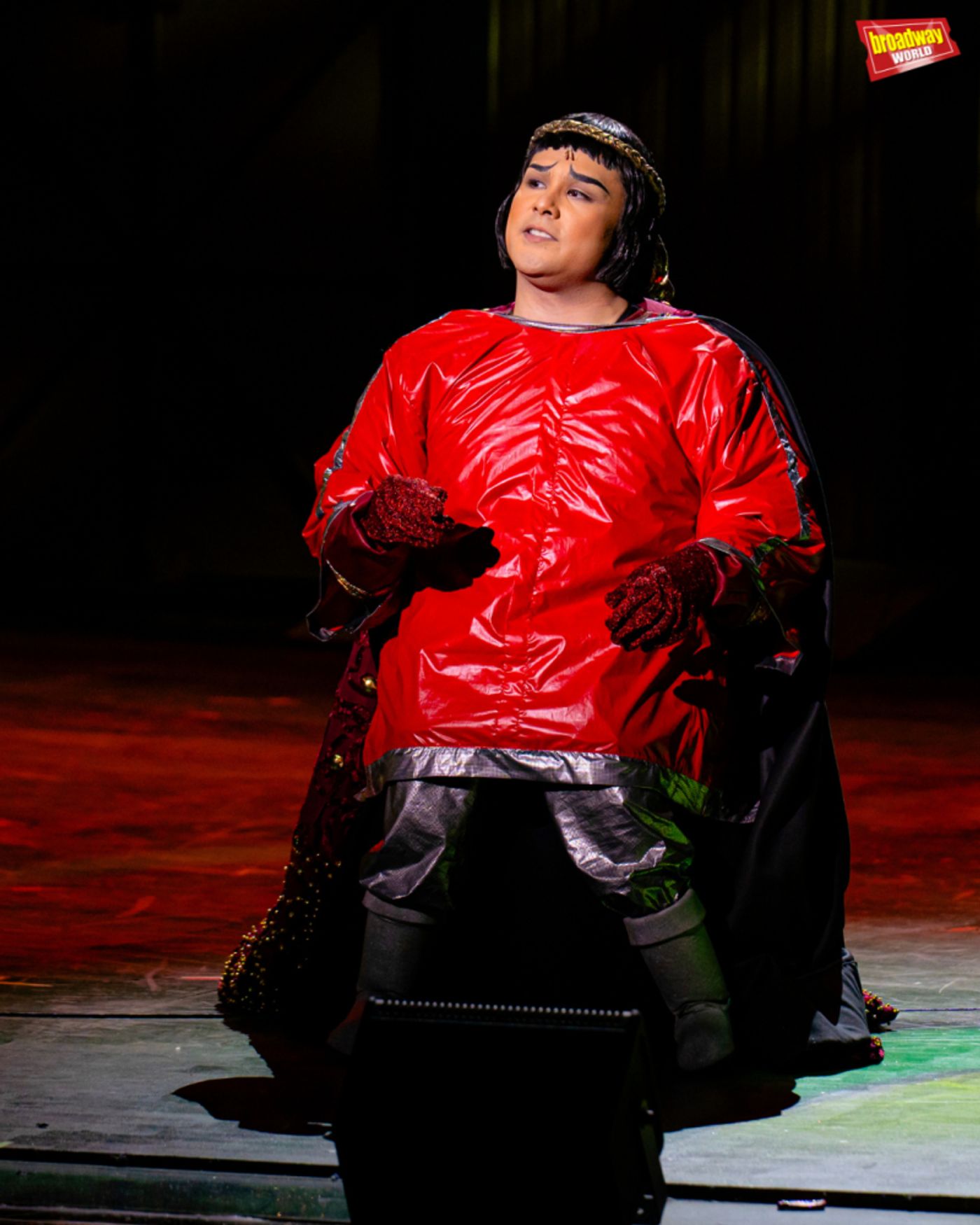 Photos: First Look at SHREK at the Newport Performing Arts Theatre  Image