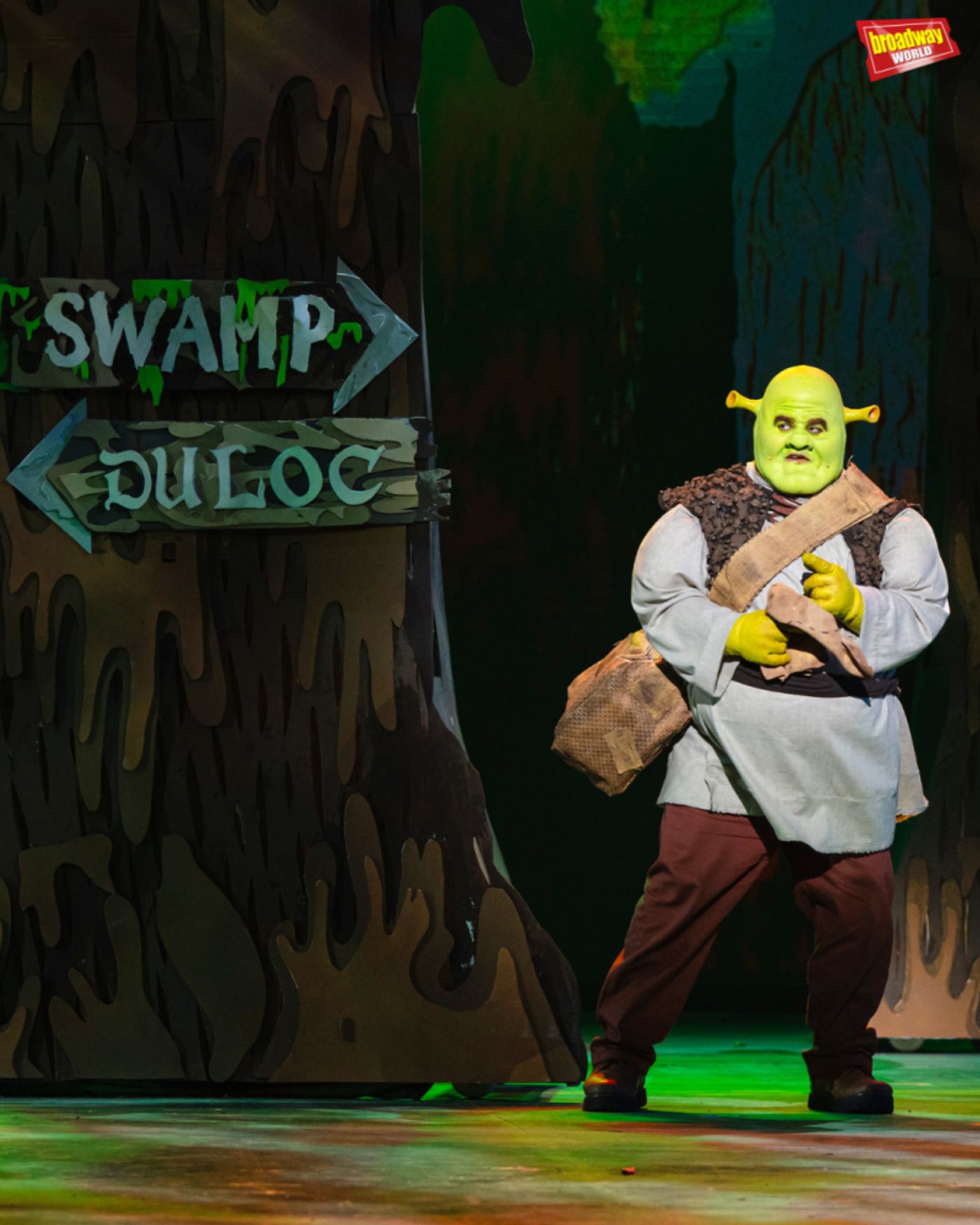 Photos: First Look at SHREK at the Newport Performing Arts Theatre  Image